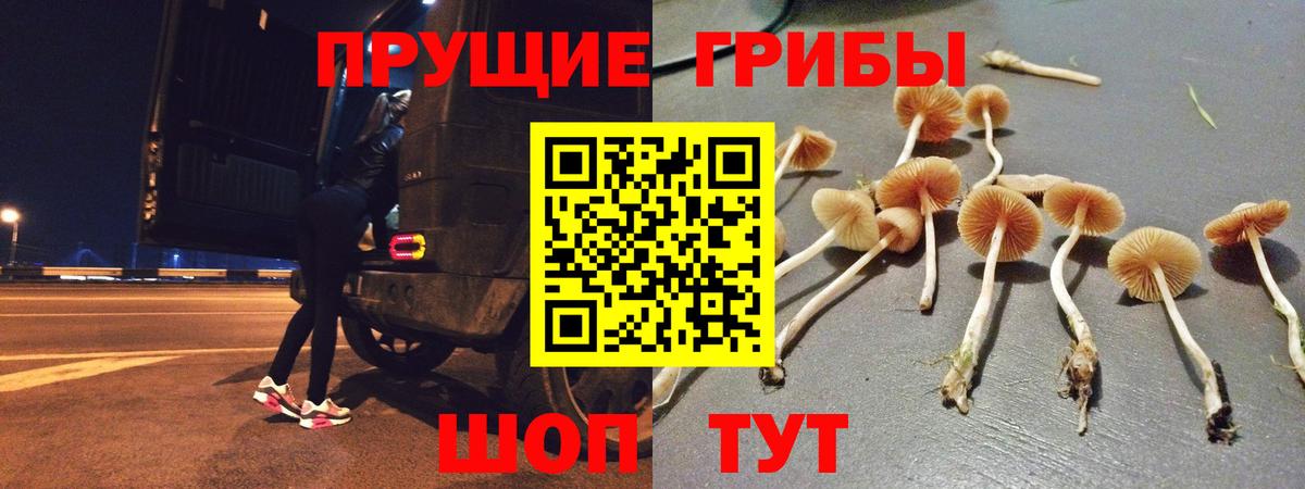 Псилоцибиновые грибы Psilocybine cubensis Добрянка